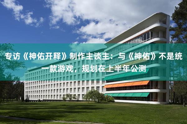 专访《神佑开释》制作主谈主：与《神佑》不是统一款游戏，规划在上半年公测