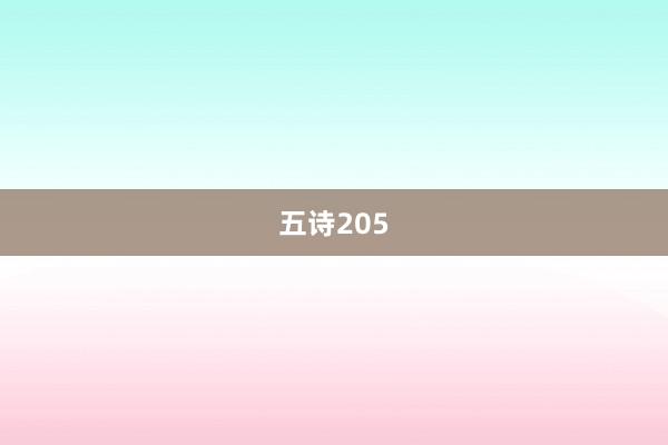 五诗205
