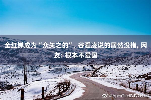全红婵成为“众矢之的”, 谷爱凌说的居然没错, 网友: 根本不爱国
