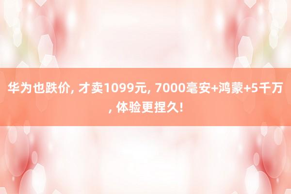 华为也跌价, 才卖1099元, 7000毫安+鸿蒙+5千万, 体验更捏久!