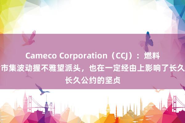 Cameco Corporation（CCJ）：燃料买家对现货市集波动握不雅望派头，也在一定经由上影响了长久公约的坚贞