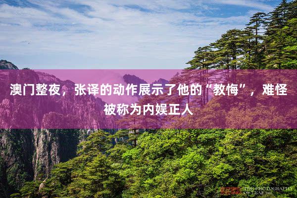 澳门整夜，张译的动作展示了他的“教悔”，难怪被称为内娱正人