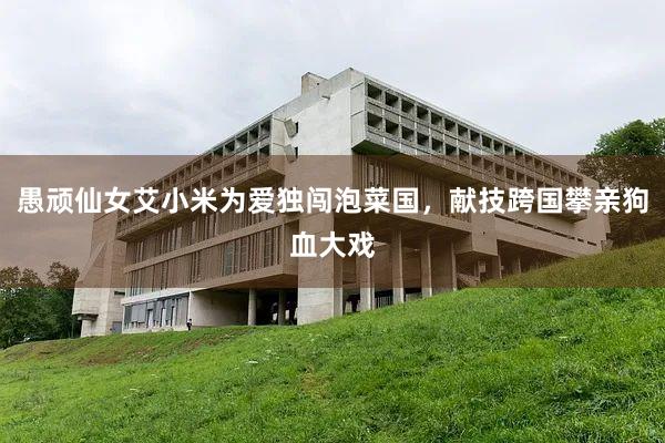 愚顽仙女艾小米为爱独闯泡菜国，献技跨国攀亲狗血大戏