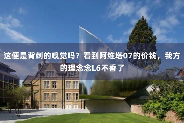 这便是背刺的嗅觉吗？看到阿维塔07的价钱，我方的理念念L6不香了