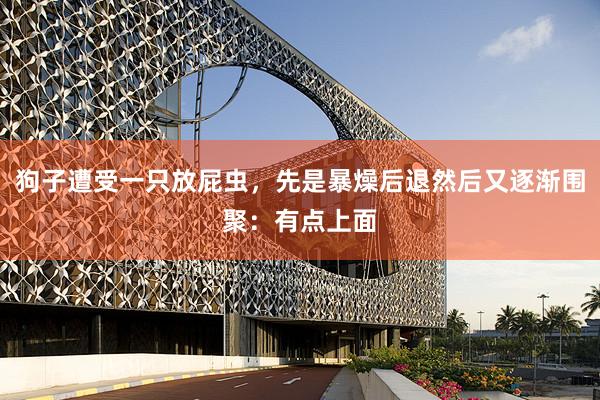 狗子遭受一只放屁虫，先是暴燥后退然后又逐渐围聚：有点上面