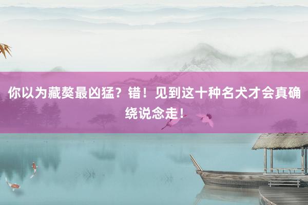 你以为藏獒最凶猛？错！见到这十种名犬才会真确绕说念走！