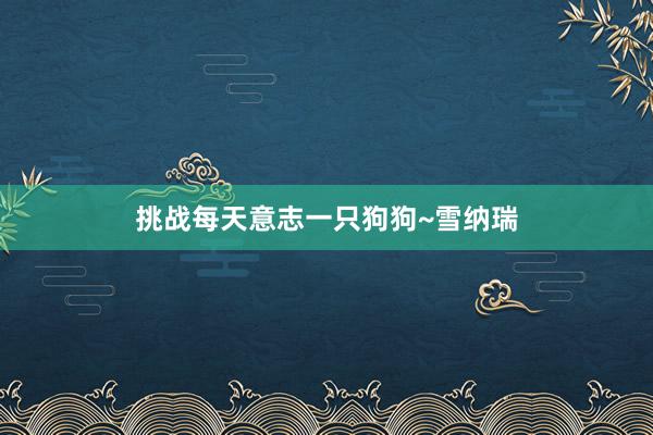 挑战每天意志一只狗狗~雪纳瑞