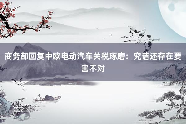 商务部回复中欧电动汽车关税琢磨：究诘还存在要害不对