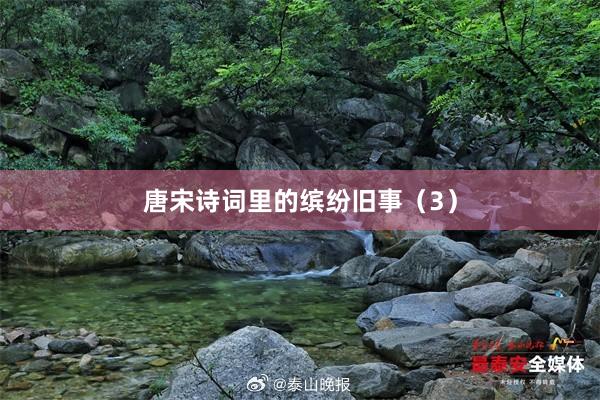 唐宋诗词里的缤纷旧事（3）