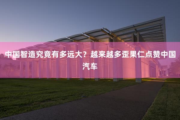 中国智造究竟有多远大？越来越多歪果仁点赞中国汽车