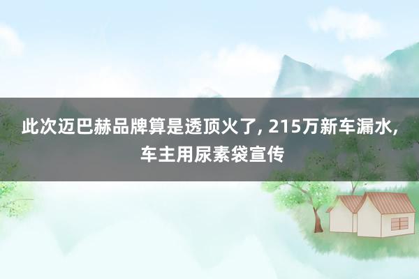 此次迈巴赫品牌算是透顶火了, 215万新车漏水, 车主用尿素