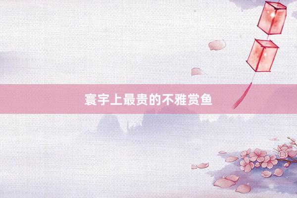 寰宇上最贵的不雅赏鱼
